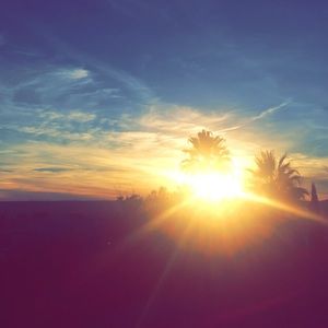 Meet your Posher, Milalai